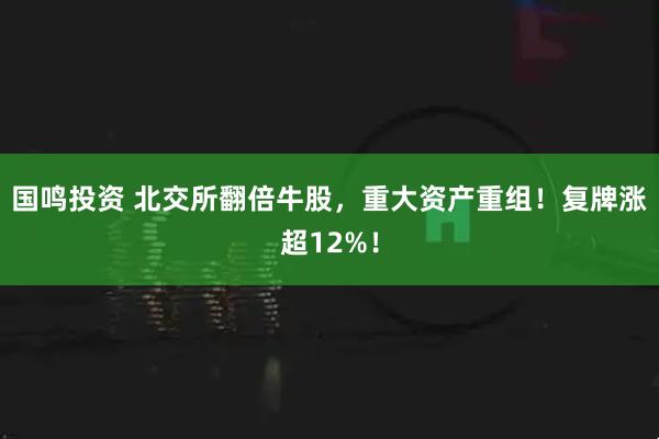 国鸣投资 北交所翻倍牛股，重大资产重组！复牌涨超12%！