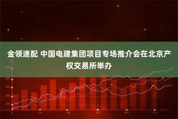 金领速配 中国电建集团项目专场推介会在北京产权交易所举办