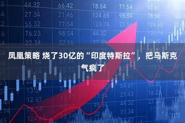 凤凰策略 烧了30亿的“印度特斯拉”，把马斯克气疯了