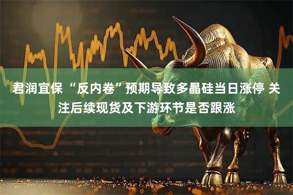 君润宜保 “反内卷”预期导致多晶硅当日涨停 关注后续现货及下游环节是否跟涨
